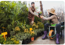 Wertsteigerung durch Gartengestaltung: Mehr als nur ein grüner Daumen Garten